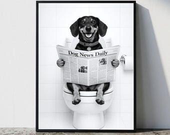 Dachshund Wall Art, Funny Bathroom Decor, Dachshund Dog in Toilet, Animal in toilet, Petshop Art, Dog Art, Dachshund Gift, Digital Download