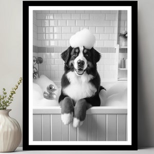 May include: A black and white photo of a Bernese Mountain Dog sitting in a bathtub with a rubber ducky. The dog has a white foam hat on its head and is smiling.