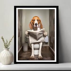 Puede incluir: Un perro marrón y blanco sentado en un inodoro blanco en un baño, leyendo un periódico. El perro lleva un collar rojo.