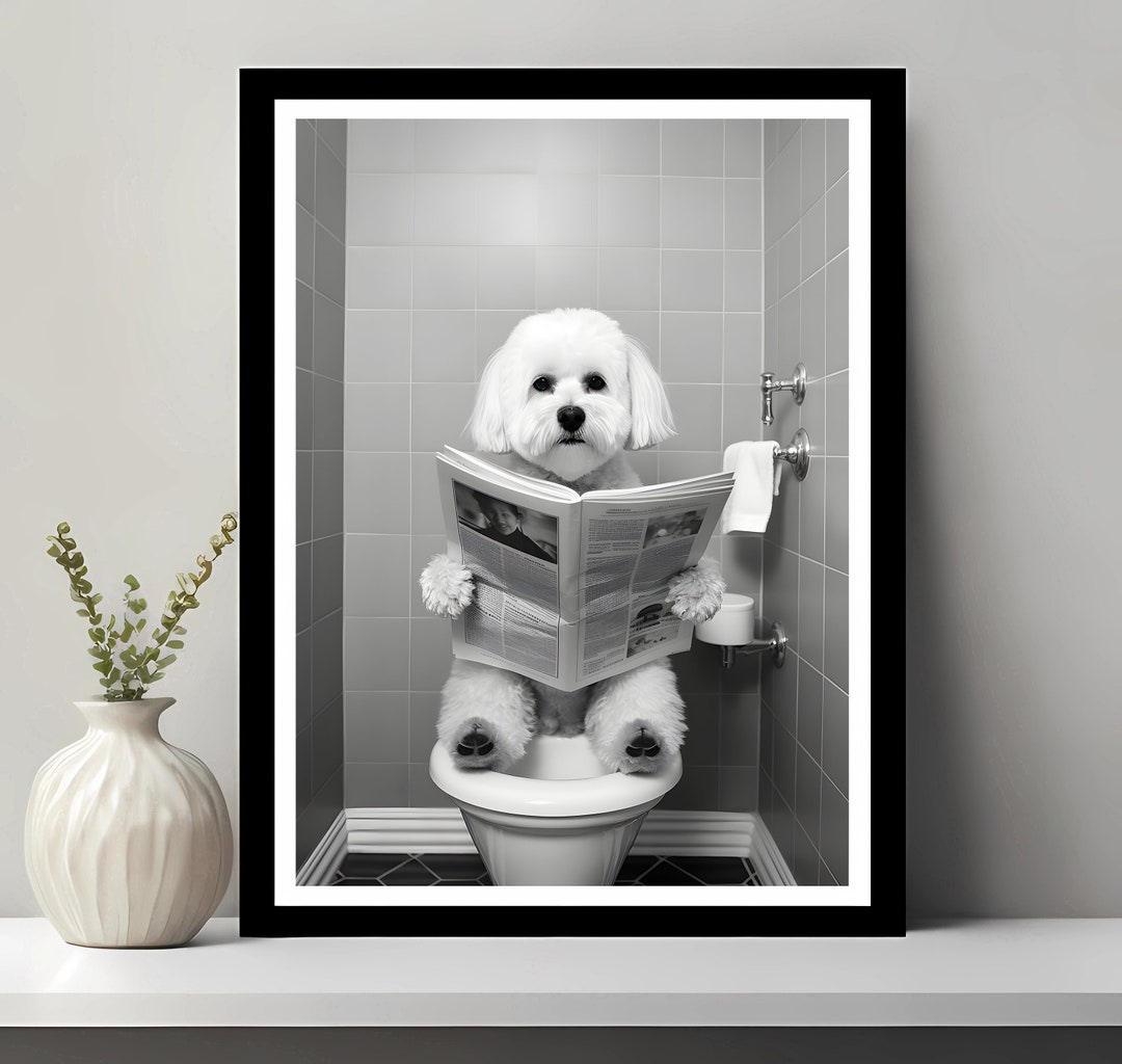 Bichon Frise Wall Art, Funny Bathroom Decor, Bichon Frise in