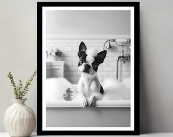 May include: Black and white photo of a Boston Terrier dog sitting in a bathtub with a rubber ducky. The dog is looking at the camera with a playful expression.