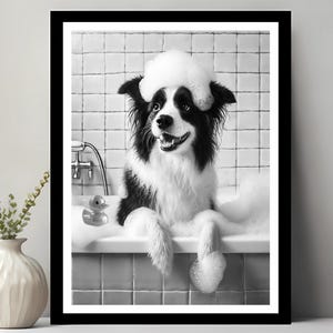 Può includere: Un cane border collie bianco e nero seduto in una vasca da bagno con un'anatra di gomma. Il cane ha un asciugamano bianco e soffice sulla testa e guarda la telecamera.
