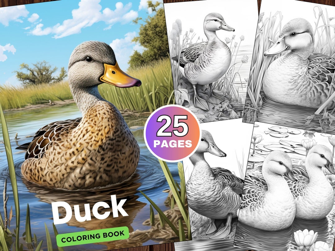 25 Duck Coloring Book for Adults, Grayscale Coloring Book, Simple ...