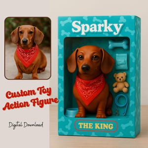 Custom Action Figure Pet Toy, Custom Gift For Dog Lover, Cat Mom Personalized Animal Toy Box, Turn Your Cat or Dog Into An Action Figure