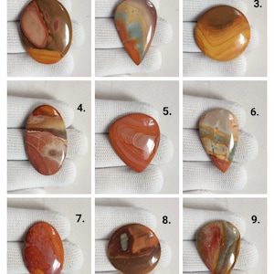 May include: Nine polished, colorful, agate cabochons in various shapes, including oval, round, and teardrop. The cabochons have a variety of colors, including brown, orange, yellow, and blue.