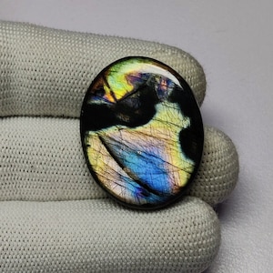 Unico Spectrolite Labradorite Cabochon / Spectrolite Forma Ovale Cabochon / AAA Spectrolite Sciolta Gemma / Raro Labradorite Cabochon