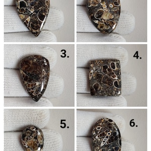 Turtella Jasper Loose Gemstone Cabochon | Natural Turtella Jasper Cabochon | Semi Precious Gemstone For Jewelry | Handmade Cabochon Gemstone