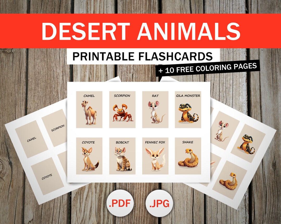 Desert Animals Flashcards for Kids Educational Cards Etsy