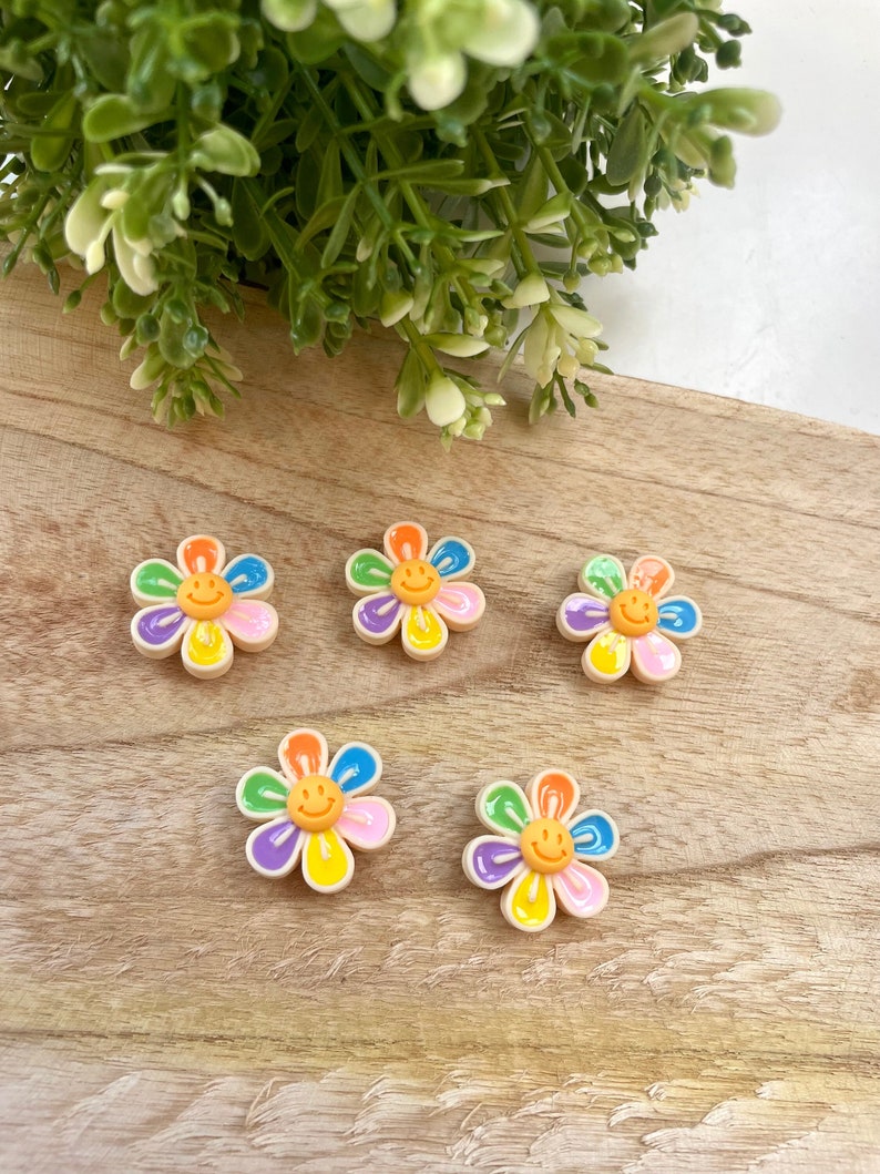 Magnets smiley/flower 5 pieces fridge magnets l gift Blume