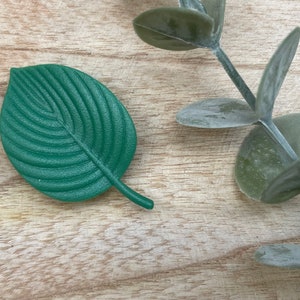 Magnete Pflanzen l Kaktus l Blätter Kühlschrankmagnete l Geschenk Bild 3