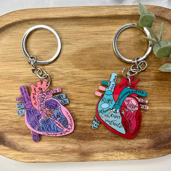 Schlüsselanhänger anatomisches Herz l Heart l Medizin l Anatomie - Geschenk l Anhänger