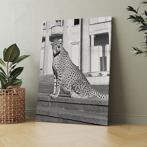 Artistic Black Panther Sitting on Stairs - Minimalist Wall Art for Modern Home Decor, Framed Canvas, Ready to Hang