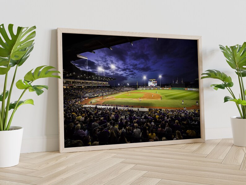 Framed Canvas Alex Box Stadium Canvas Wall Art Design Poster Print