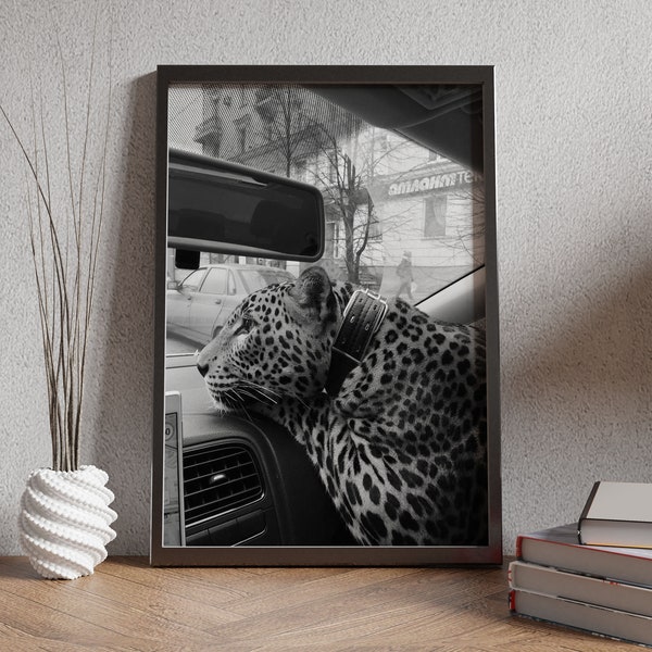 Panther in the Car Print, Cheetah Poster, Black and White Wall Art, Vintage Photography, Fashion Print, 1950s, Home Decor