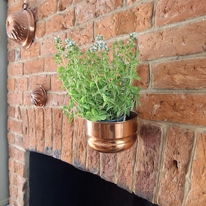 May include: A polished copper pot containing a green herb plant with small white flowers, mounted on a red brick wall. Two smaller, round copper moulds are also attached to the brick surface above and to the left of the central copper pot.