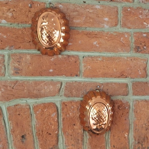 May include: Two copper pineapple-shaped moulds hanging on a red brick wall. The moulds have a scalloped edge and a small loop for hanging. The brick wall has green mortar.
