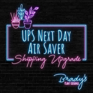 UPS Next Day Air Saver Shipping Upgrade