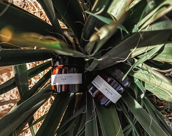 Tint - Tinted Tallow Moisturizer