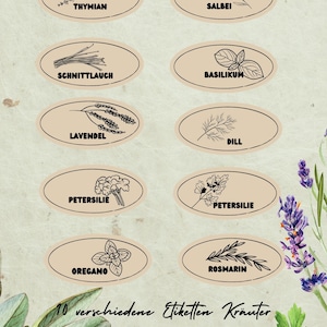 Gartenkräuter svg,Beet Svg,Garten svg,organizer garten svg,Etiketten Kräuter svg,Lavendel svg,Petersilie svg,Dill svg,Kräuter set svg,Schild