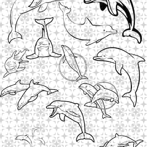 Delfin SVG Bundle,Delfin Clipart, Delfin Png,Delfin Vektor,Delfin Cricut,Delfin Silhouette,Meer Tier SVG, niedlicher Delfin,delfine,neu,new,