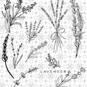 Paquete de lavanda, impresión de lavanda, Png AI, clip art de flores silvestres de lavanda png, descarga SVG de lavanda, flores románticas blanco negro, nuevo, nuevo,