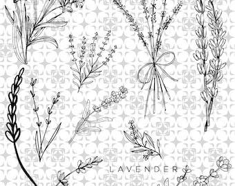 Lavender Bundle, Lavender Print, Png AI, Lavender Wildflower Clip Art png, Lavender SVG download, Romantic Flowers Black and White, New, new