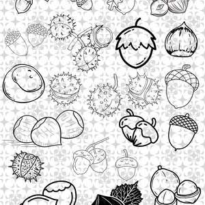 Puede incluir: Una ilustración en blanco y negro de varios frutos secos y semillas, incluyendo bellotas, castañas y avellanas.