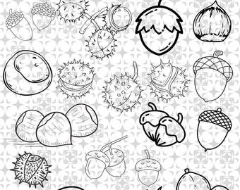 Hazelnut SVG, Hazelnut PNG, Hazelnut Clipart, Chestnut Clipart Bundle, Autumn Elements, Autumn, Fall, chestnut SVG, hazelnut, new, set, SVG