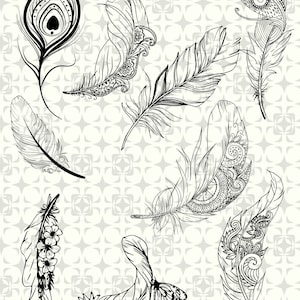 Könnte beinhalten: Ein Satz von neun schwarz-weißen Federillustrationen mit komplizierten Details. Die Federn sind in verschiedenen Stilen gezeichnet, einige mit Spiralen und Mustern, andere mit einem einfacheren Design.