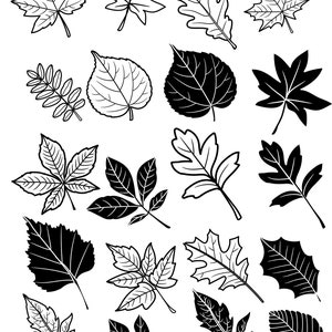 Design de folhas de outono, modelo SVG, artesanato de outono, modelo de corte de folhas, decoração de outono DIY, arte de outono, outono, novo, novo, svg, outono