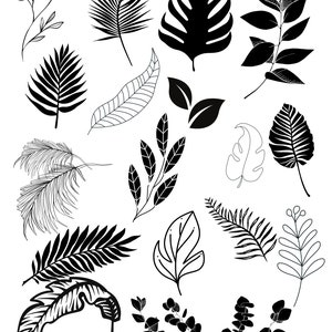 Leaves SVG Set,Botanical Illustration,Leaf Graphics,Plants Clipart,New,Set,Flowers,Big Leaves,Botanical,Leaf Graphics,Plants,set,plants