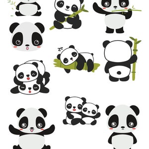 panda,baby,kind,neugeboren,niedlich,tiere,svg,png,SET,niedliches Set,Digital,Plott,Drucken,start ins leben,