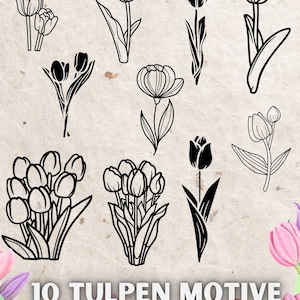 Hoge kwaliteit tulp SVG bundel, tulp, tulp png, tulp pdf, tulp vector, tulp ontwerp, tulp monogram, tulp clipart, tulp gesneden bestand