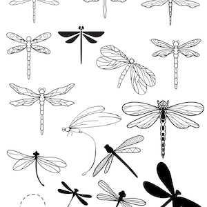 dragonfly,set,svg,png,new dragonfly,dragon-fly,dragonfly,svg,dragonflies,silhouette,cricut, clipart,