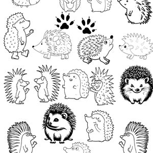 Animal mignon, téléchargement instantané, fournitures d’artisanat, fichier SVG hérisson, hérisson, animal d’automne SVG, animal de forêt, graphiques d’animaux mignons, ensemble cadeau d’amoureux des animaux
