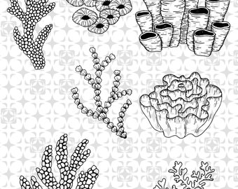 Koralle SVG Bundle,Koralle SVG Bundle,Koralle Clipart,Koralle SVG für Cricut,Koralle Silhouette,Algen svg, Algen png,Meerespflanze svg