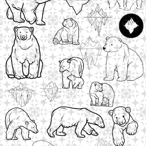 Orso polare artico Sea Ice Glacier Bear SVG Bundle, Mama Bear SVG Bundle, Bear Family Bear SVG, Orso polare SVG, Bear Head SVG, Bear Face SVG