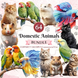 Pode incluir: Um pacote de imagens digitais de 64 animais domésticos, incluindo gatos, hamsters, peixes e papagaios. As imagens são coloridas e detalhadas, perfeitas para usar em artesanato, scrapbooking e outros projetos criativos.