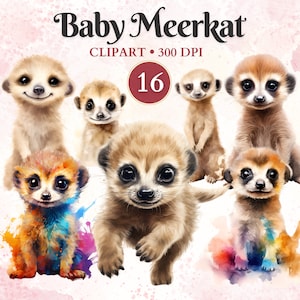 Clipart bébé suricate, jungle, animaux de safari, bébé Safari Png, chambre de bébé, décoration de révélation de sexe, faire-part d'anniversaire