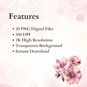 Op de afbeelding: Een digitale download van 20 hoge resolutie PNG-bestanden met roze bloemen op een transparante achtergrond. De bestanden zijn 300 DPI en 2K resolutie.