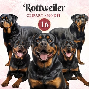 Rottweiler Clipart, Clip Art de silueta de perro, gráficos de mascotas, vector de perro, libro de recortes