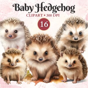Clipart hérisson bébé, art de la chambre de bébé hérisson, animal de la forêt, chambre d'enfant, décoration de révélation de sexe, faire-part d'anniversaire