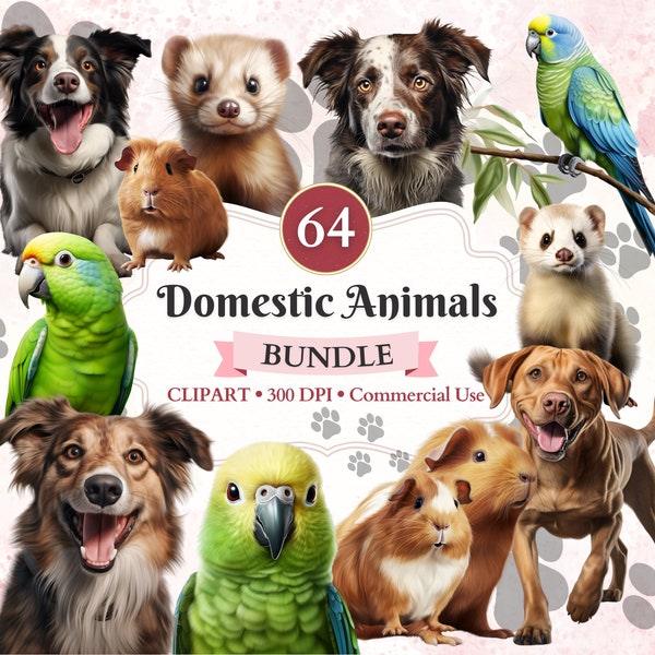 Domestic Animals Clipart Bundle, Cute Guinea Pig, Dog Clipart, Parakeet Png, Ferret Vector, Pet Graphics