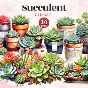 Imágenes Prediseñadas Suculentas, Png Suculentas, Gráficos De Jardín, Diseños De Jardines, Iconos De Jardinería, Imágenes Prediseñadas De Terrario, Planta De Casa Png