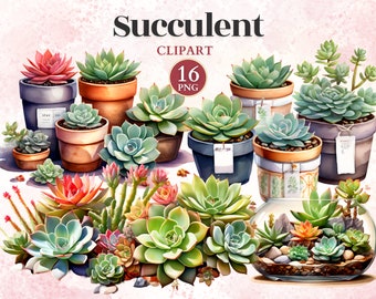Imágenes Prediseñadas Suculentas, Png Suculentas, Gráficos De Jardín, Diseños De Jardines, Iconos De Jardinería, Imágenes Prediseñadas De Terrario, Planta De Casa Png
