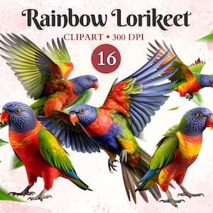Imágenes Prediseñadas de Loro arco iris, imágenes prediseñadas de loro, animales salvajes, animales australianos, vida silvestre australiana, libro de chatarra