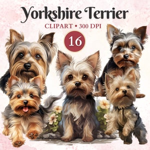 Yorkshire Terrier Clipart, Yorkie Png, Gráficos de mascotas, Arte vectorial de perros, Gráficos de animales, Imágenes prediseñadas de perros pequeños, Libro de recortes