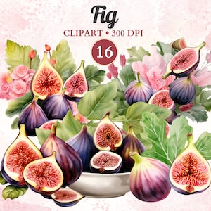 Clipart De Figo, Desenho De Figo, Galho De árvore Png, Vibrações De Verão, Clipart De Agricultura, Delícia Doce, Transparent Png, Scrap Book