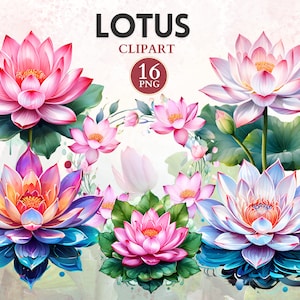 Lotus Blume Clipart, Lotus Png, Yoga Clipart, Achtsamkeit, achtsam, Meditation Png, meditatives Bild, Sport Grafik
