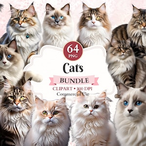 Bundle de cliparts chats, animaux domestiques, Ragdoll, chat persan, Maine Coon Png, forêt norvégienne, graphiques pour animaux de compagnie